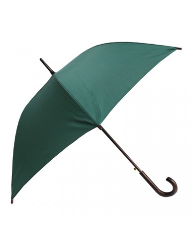 Guarda-chuva verde esperança